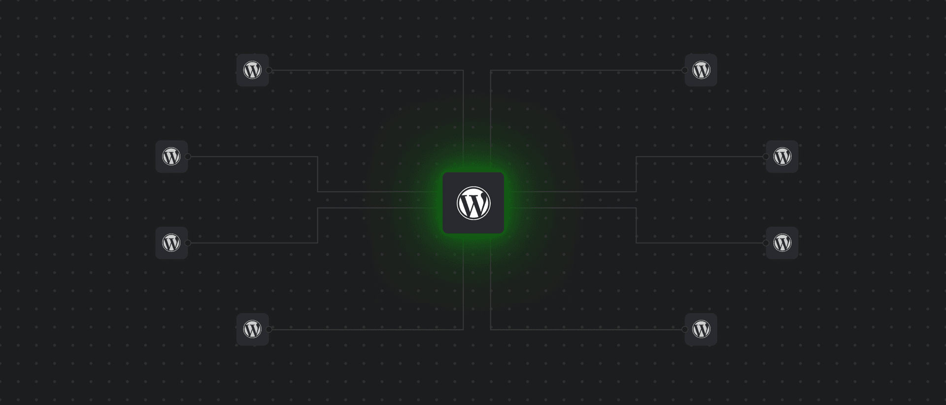 Ammega — results showcase