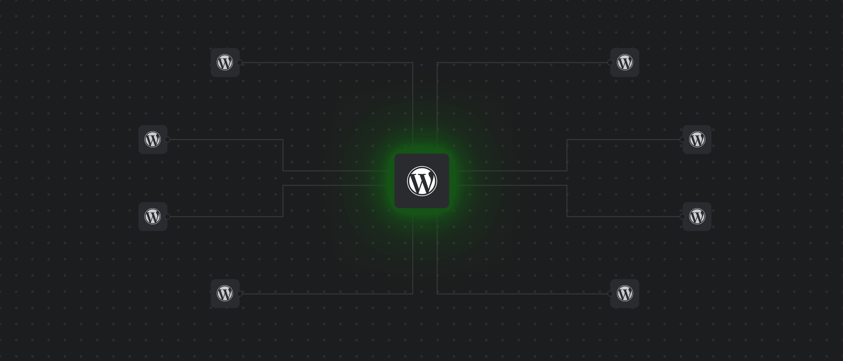 Ammega — results showcase